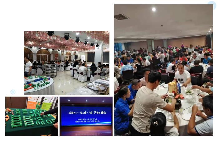 龍勝管2019年終盤點，看看這一年龍勝都做了什么？