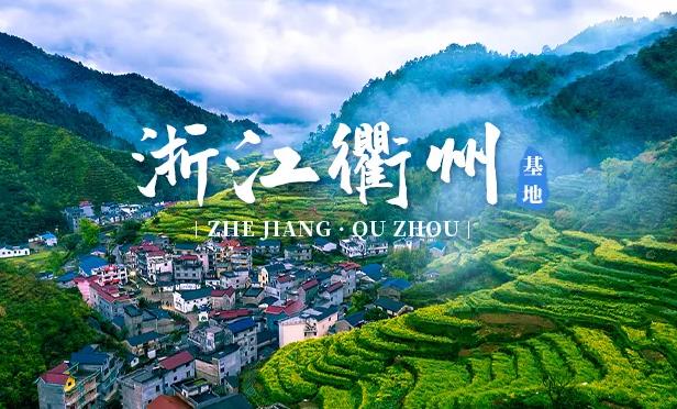 衢州ppr水管加盟代理哪個品牌好？選擇國產(chǎn)還是進口品牌？